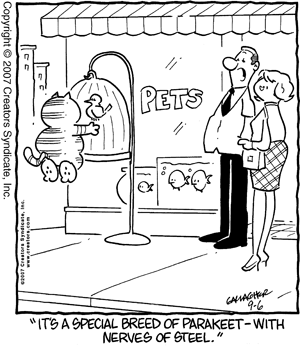 heathcliff